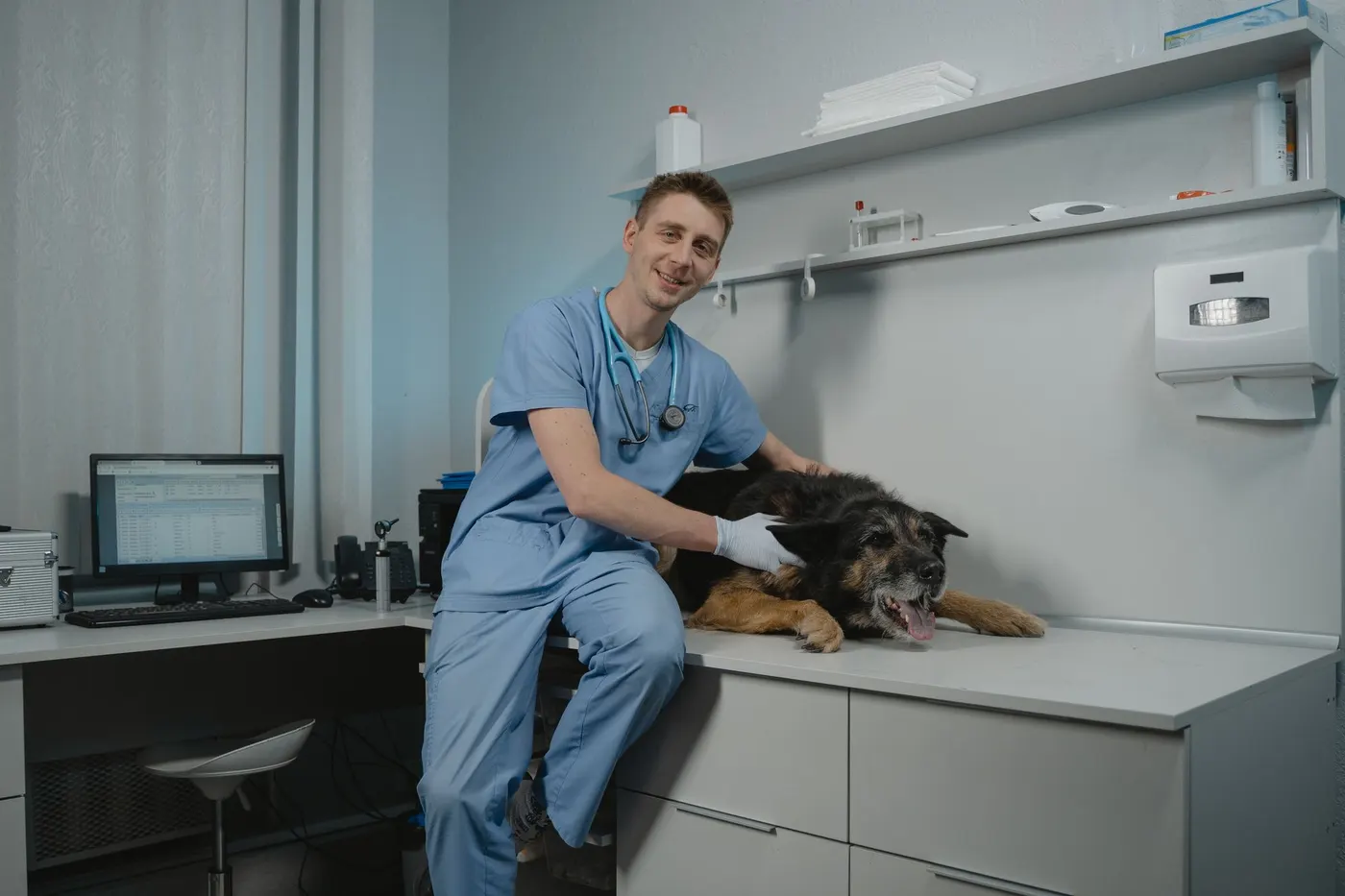 Veterinário sentado ao lado de um cão deitado na marquesa da clínica